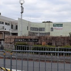 初管理トラウト釣り