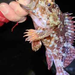 フロートメバリング