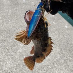 ターゲットだけライトなショアジギング。