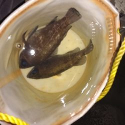 サイズアップ目指して