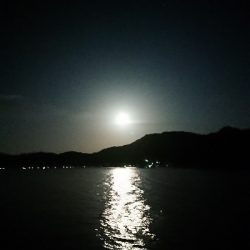 月夜ヤリイカエギング