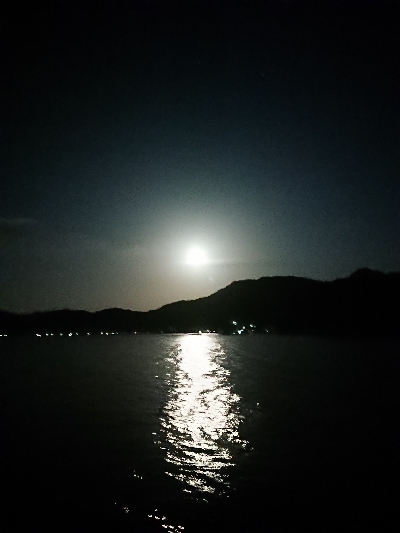 月夜ヤリイカエギング