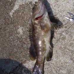 渋い中で何とか