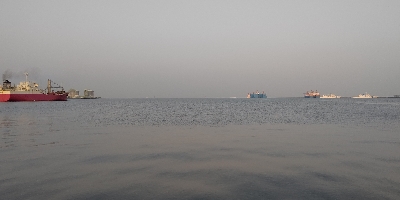 マゴチ今年初！