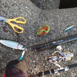 ショアジギからのアジング