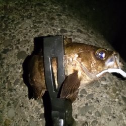 強風ライトゲーム