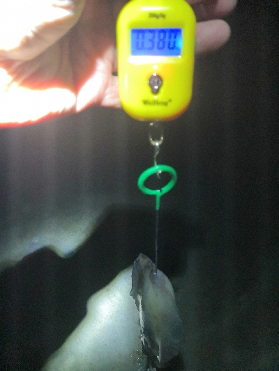 ヤエン釣行2日目