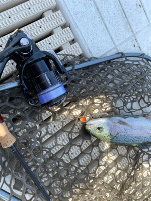 気温が暑い、服部緑地