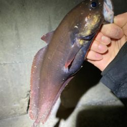 美味しいやつ！