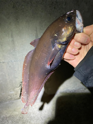 美味しいやつ！