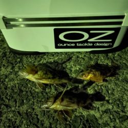 ガシラマンション