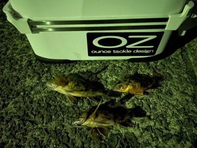 ガシラマンション