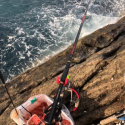 すさみで磯釣り