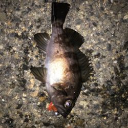 ありがとうございます！