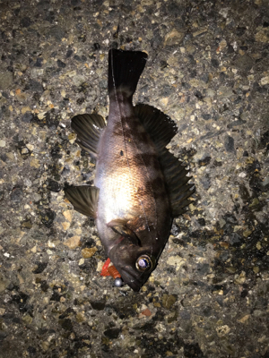 ありがとうございます！