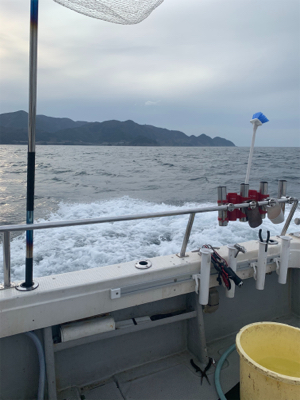 丹後沖ジギング