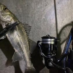 釣れないことを楽しむ。