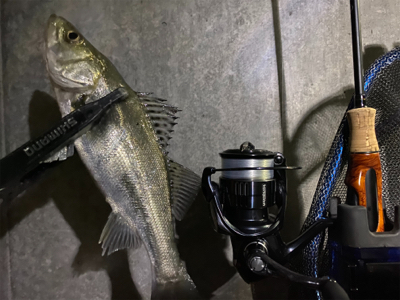 釣れないことを楽しむ。