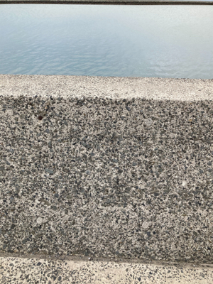 スピンテールジグで、ヒラセイゴゲット！！