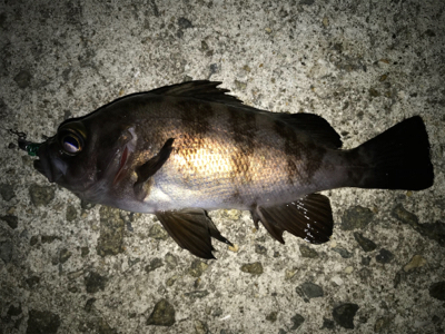 2021ライトゲーム第6戦