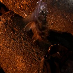 なかなか乗せられず…