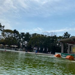 ガラガラの服部緑地でエリアトラウト