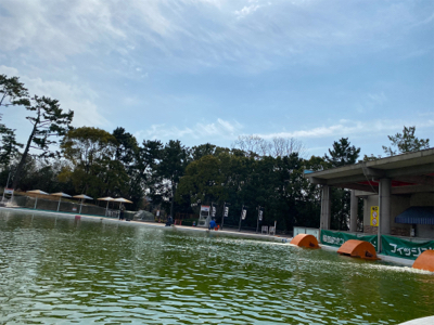 ガラガラの服部緑地でエリアトラウト