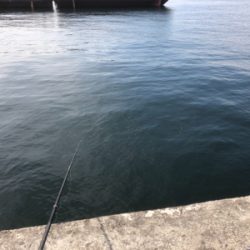 皆様のおかげです。