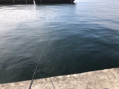 皆様のおかげです。