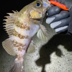 プラグで爆釣！