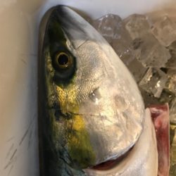 激ハードジギング