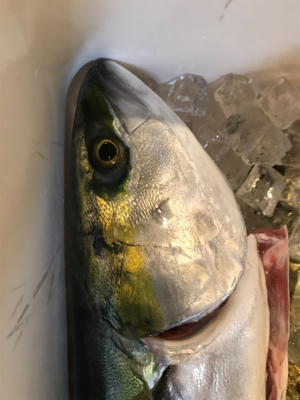 激ハードジギング