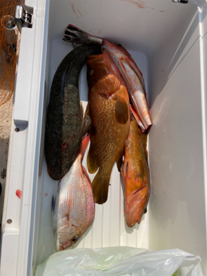 スーパーライト