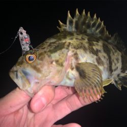 小雨の降り始め。