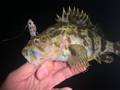 小雨の降り始め。