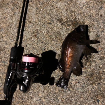 2021 佐渡ヶ島 メバリング