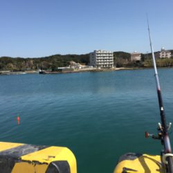 サビキで大きいアジと太刀魚