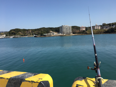 サビキで大きいアジと太刀魚