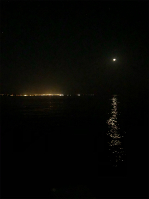 川魚でしょうか？