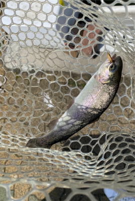 岸和田フィッシングパーク