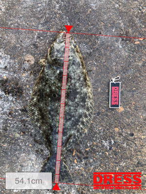 お久しぶりでございます