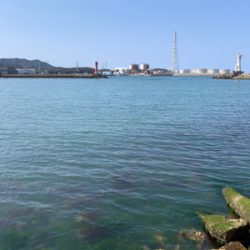 投げサビキとルアー