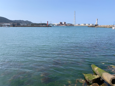 投げサビキとルアー