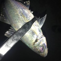 ポロポロアジング