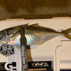 坊主は回避できたから良し!