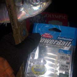 アジング練習 255 アジミルク インクスベイティ