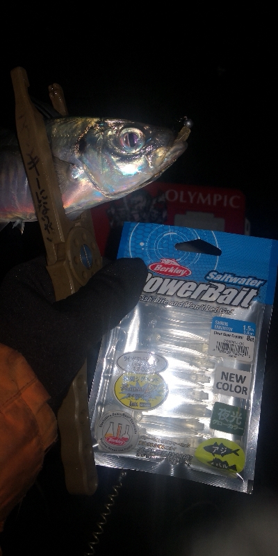 アジング練習 255 アジミルク インクスベイティ