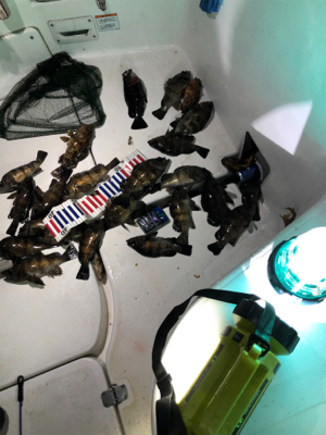 ボートメバリング