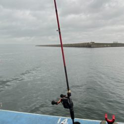 型よし数よし！クーラーパンパン！船アジサイコー！