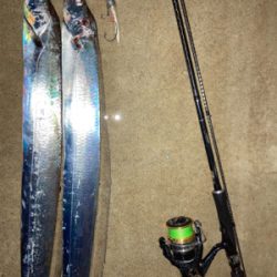 ２日連続、夕マズメタチウオ！！